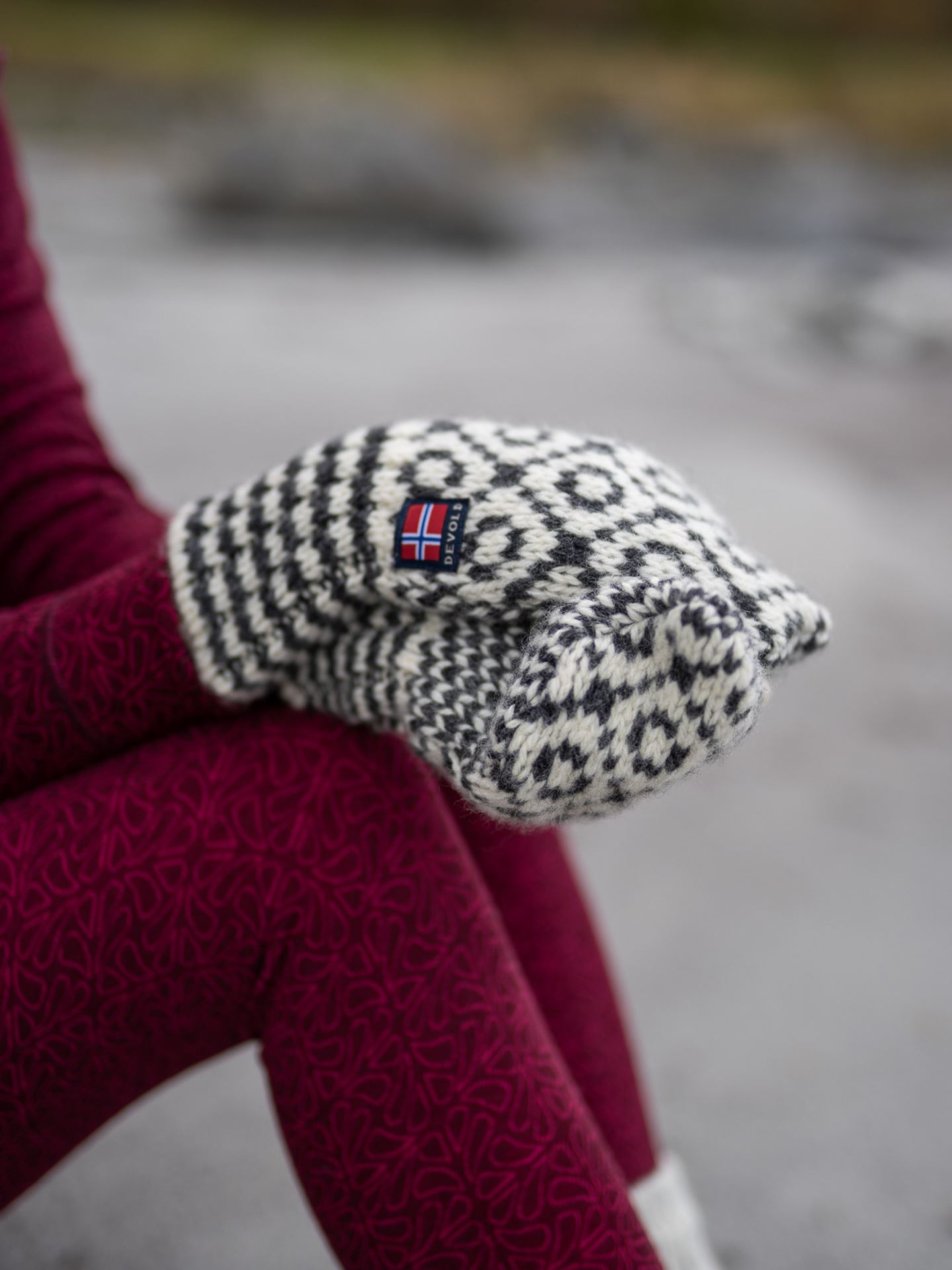 Svalbard Mitten