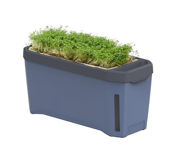 Gusta Garden Kräutertopf Harry Herbs, ca.
