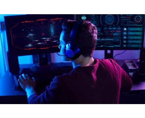 JBL QUANTUM 350 Gaming- 2.4 Ghz Wireless Over-ear Headset