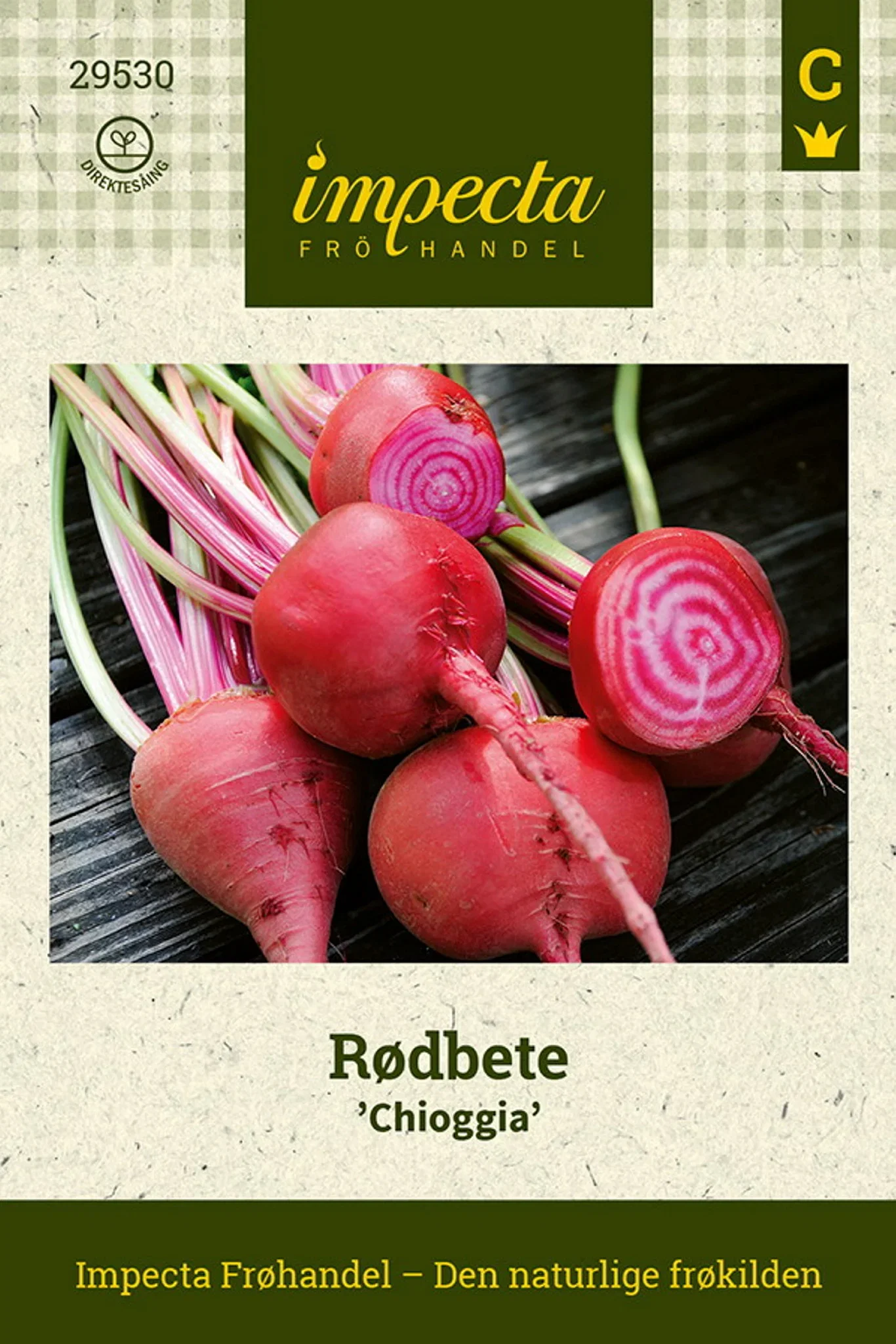 Beta vulgaris 'Chioggia' Rødbete 'Chioggia'