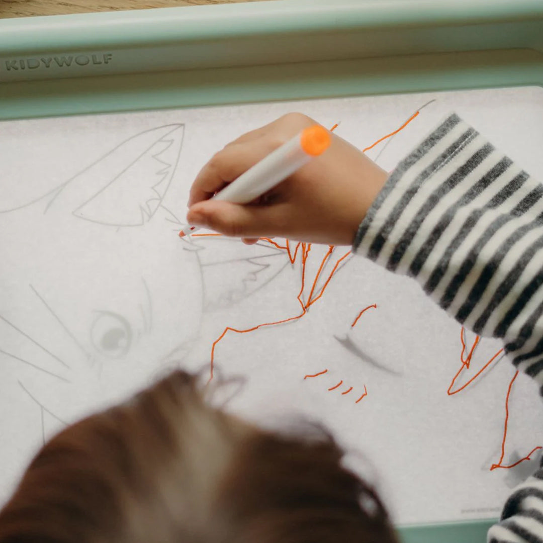 Kidywolf kidydraw pro tweezijdig tekenbord