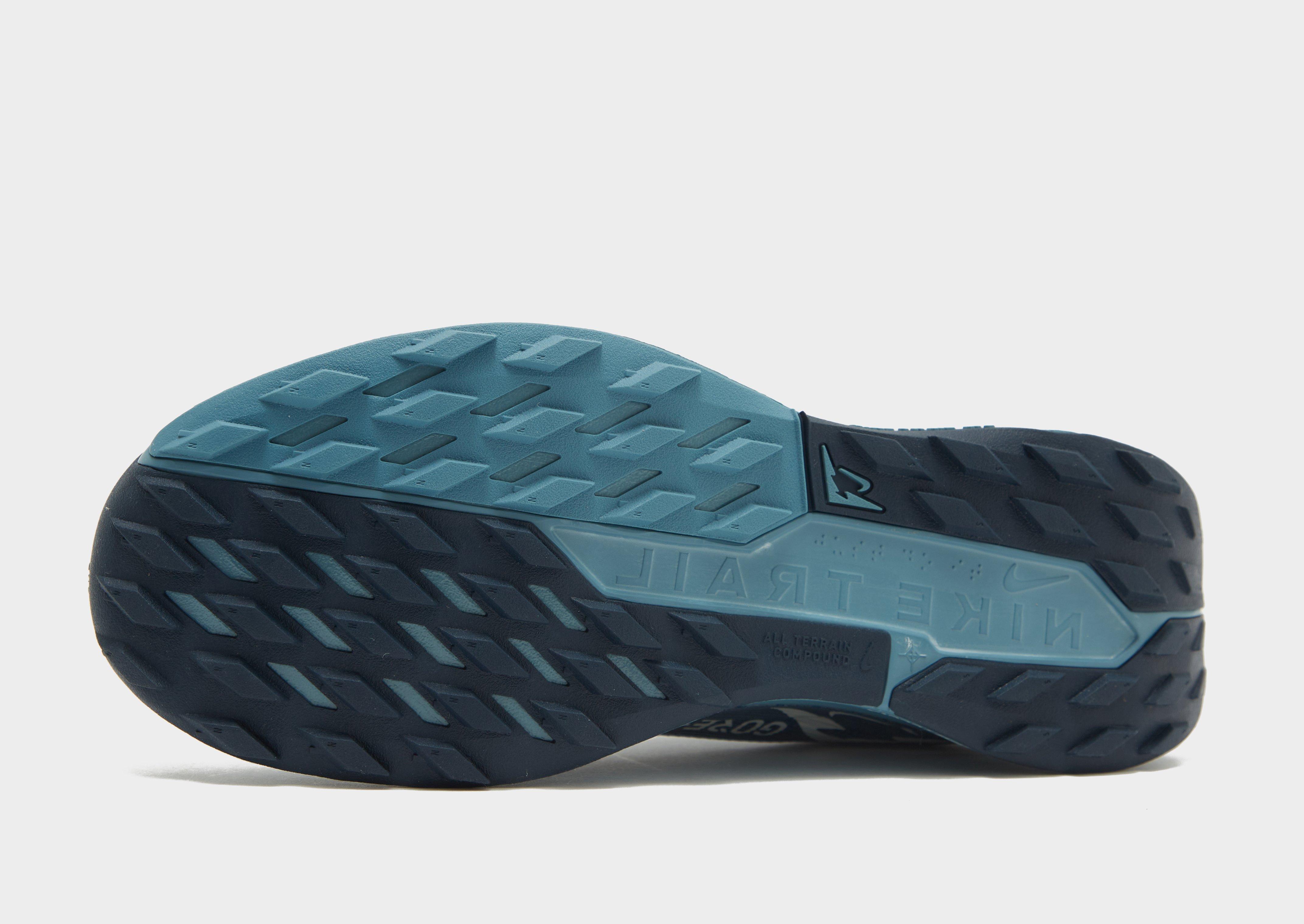 Nike Pegasus Trail 5 GORE-TEX Homme