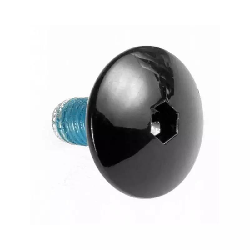 Visserie roller en ligne POWERSLIDE Cuff Screw HC EVO, L13mm M6  black (Trinity)