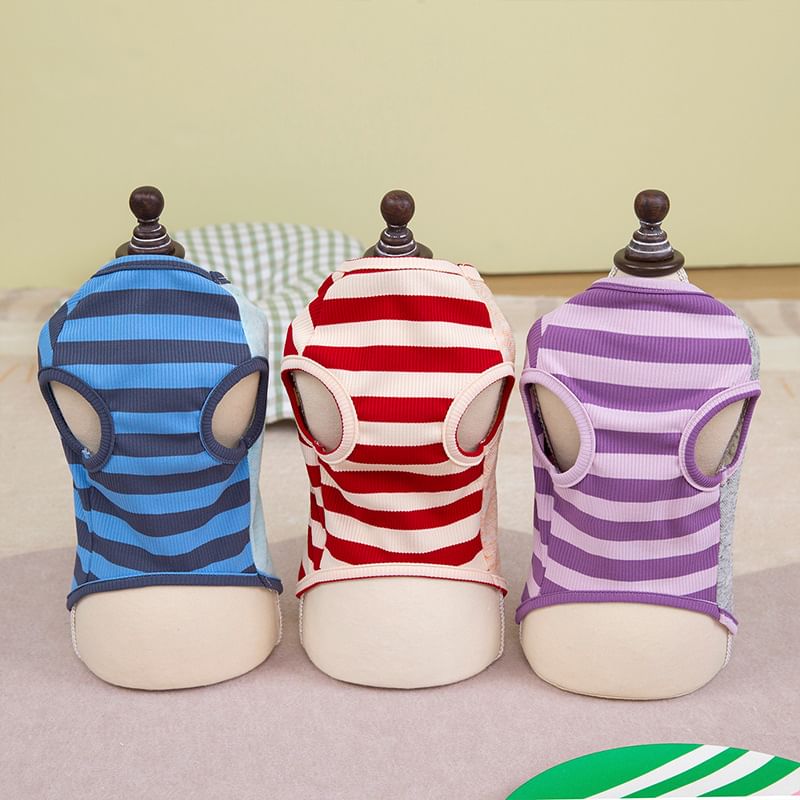 Cissilli - Gestreept Paneel Pet Top