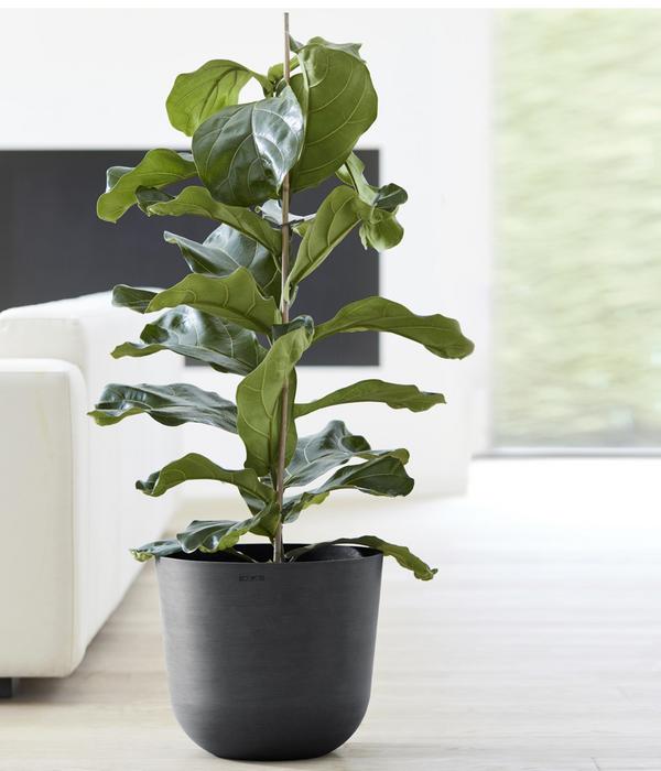 Ecopots Kunststoff-Topf Oslo, rund