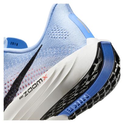 Chaussures Running Nike Pegasus Plus Bleu Femme