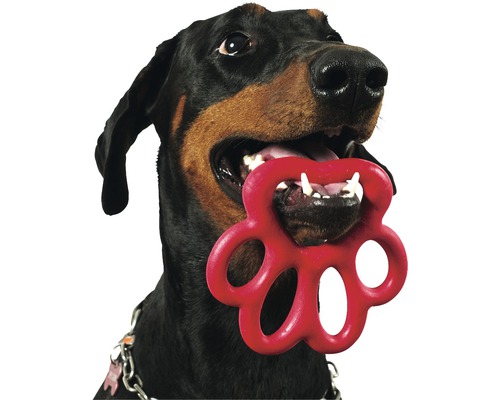 Hondenspeelgoed Bama Pet Ring Orma Big 16,5 cm willekeurige kleurselectie