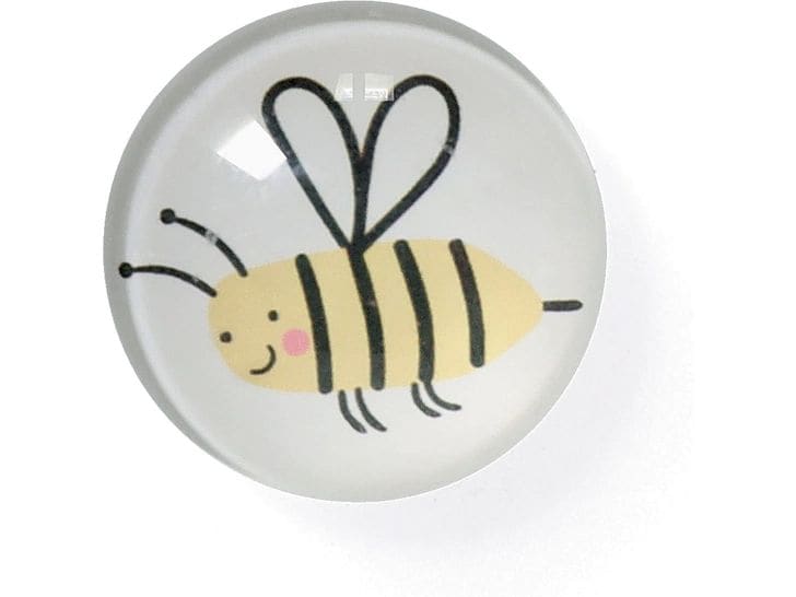 Zeller Present Magnete Insekten 4 Stück Magnetset