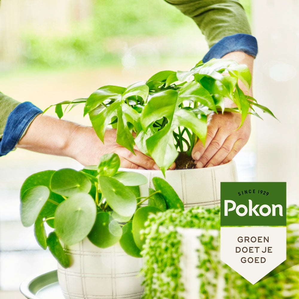 Pokon bio groene planten voeding 500 ml