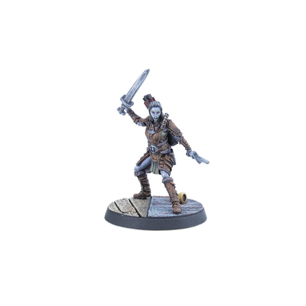 The Elder Scrolls: Call to Arms – Adventurer Followers