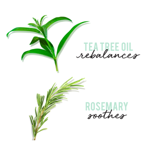 Hask Teatree Oil & Rosemary Conditioner 355ML
