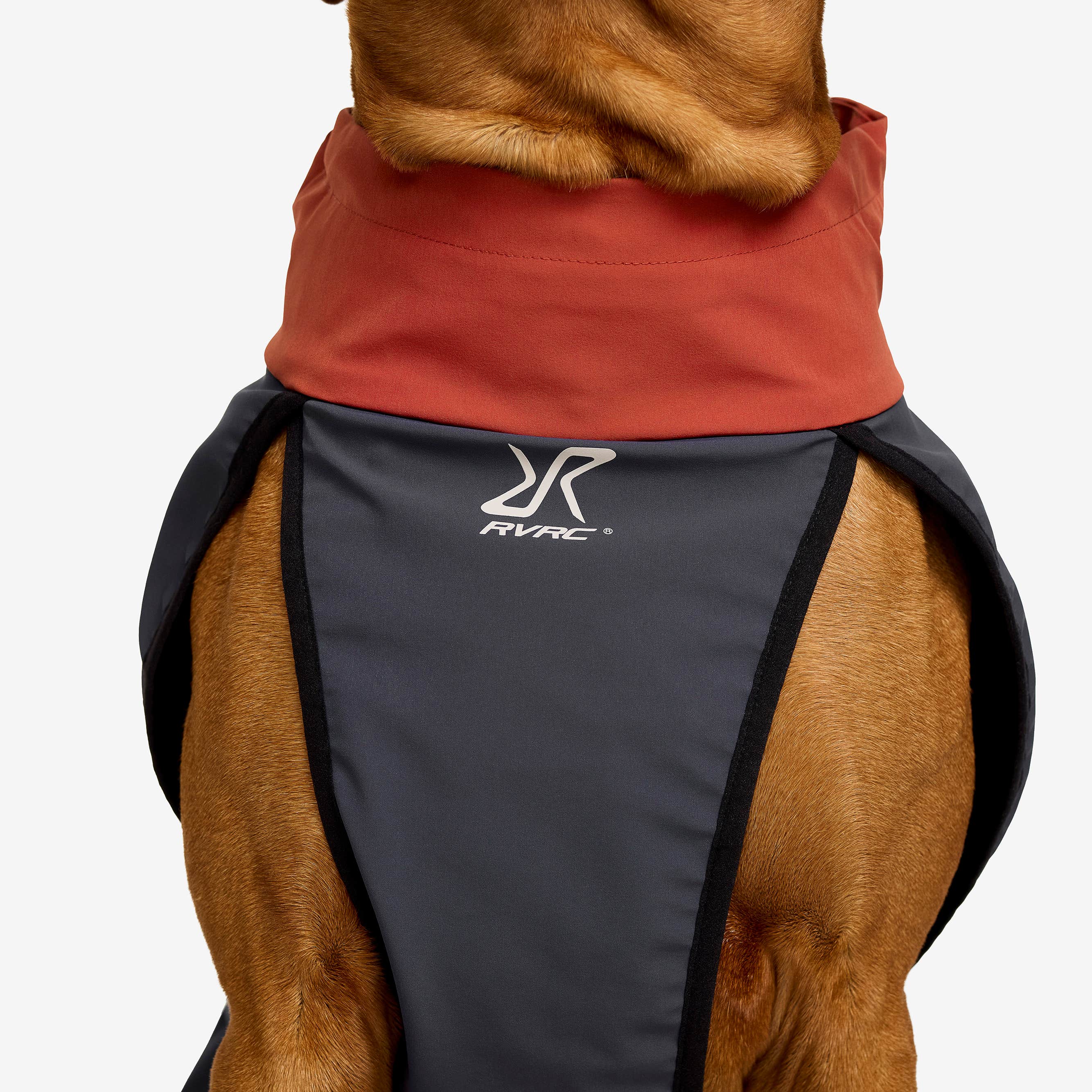 Cyclone Dog Jacket Hund Bossa Nova/India Ink