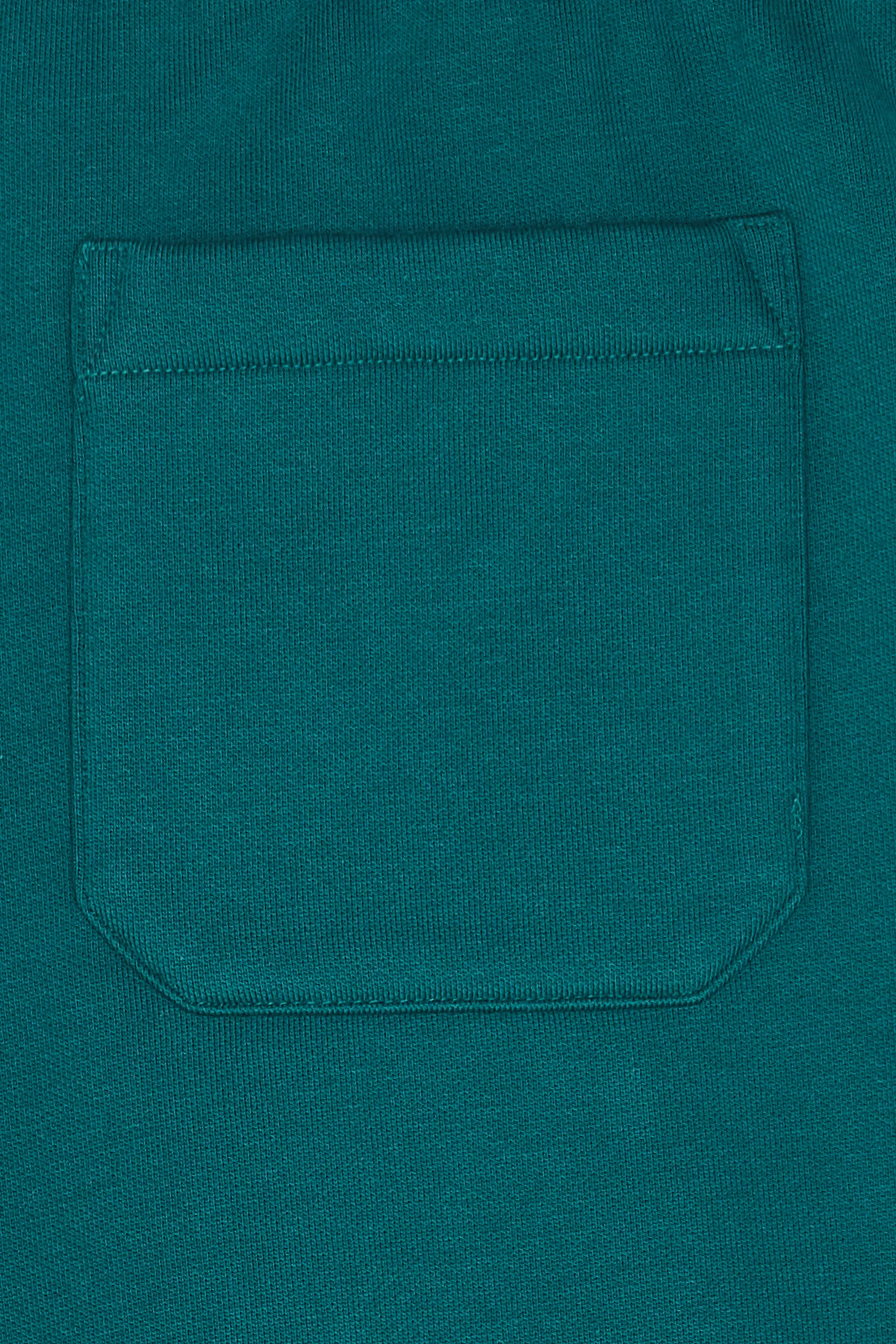 CARHARTT WIP Short Chase Sweat Short Vert