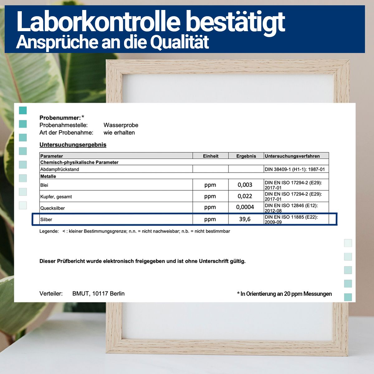 BMUT Kolloidales Silber (40 ppm)