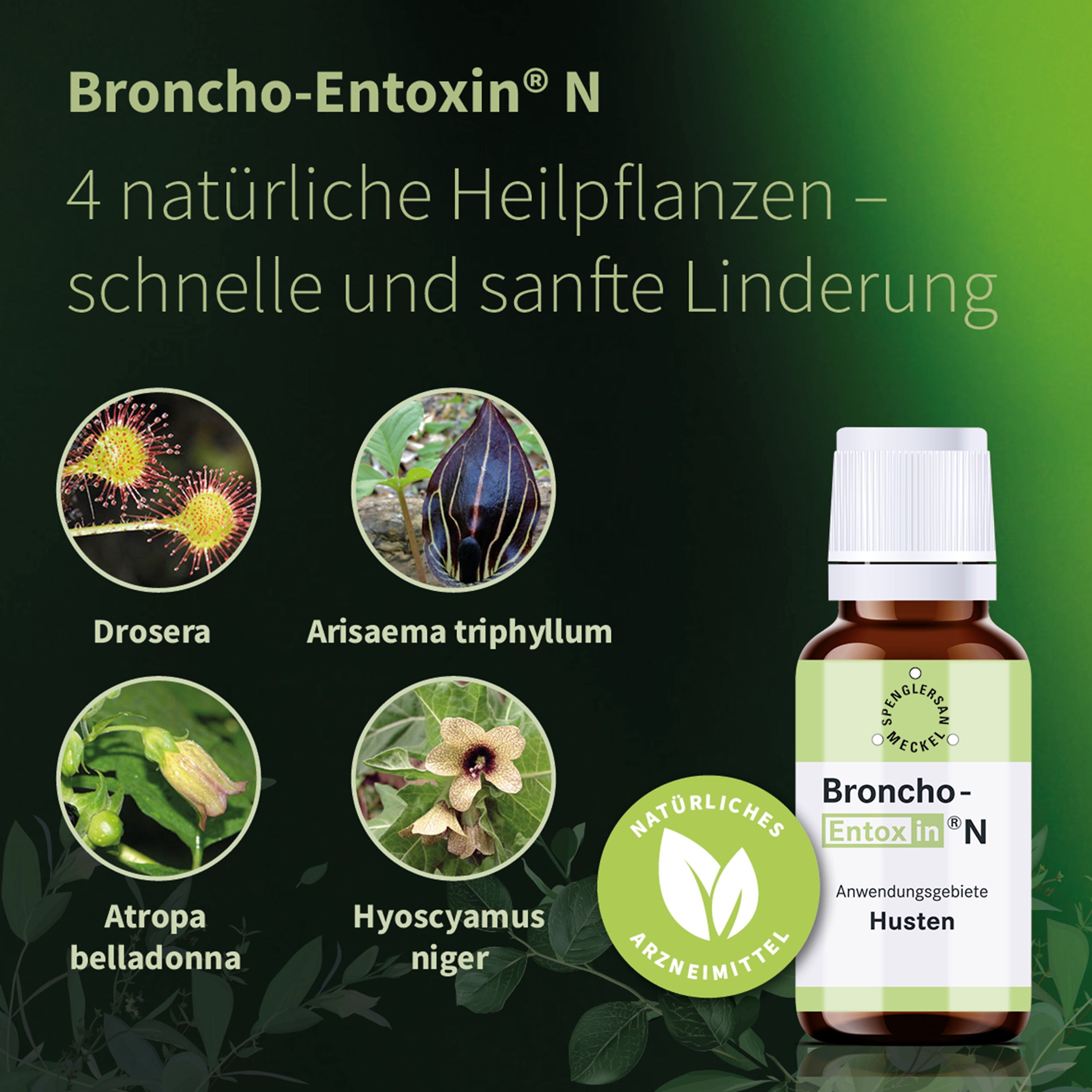 Broncho-Entoxin® N Tropfen