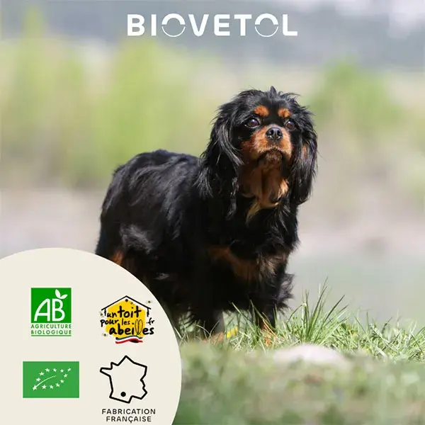 Biovetol - Poudre Detox'Plus Bio Petit Chien <10kg - 30g