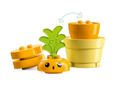 LEGO Groeiende wortel (10981)