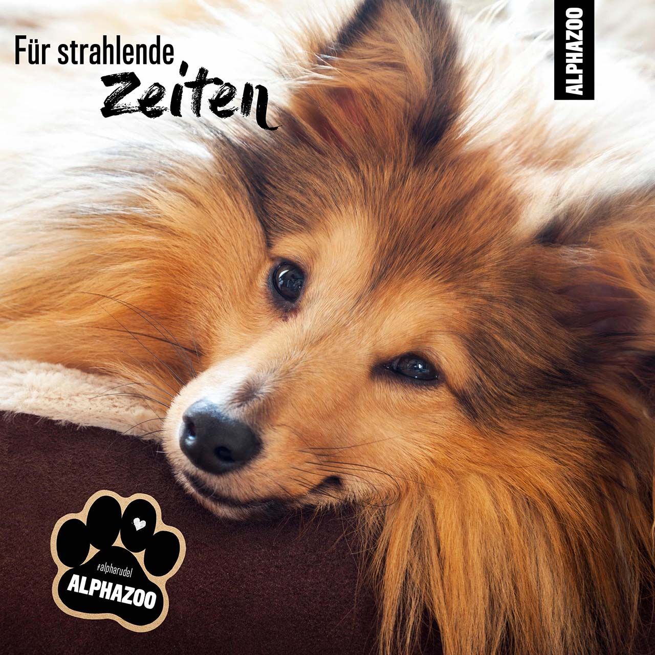 ALPHAZOO Fellglanz Fellspray für Hund & Katzen