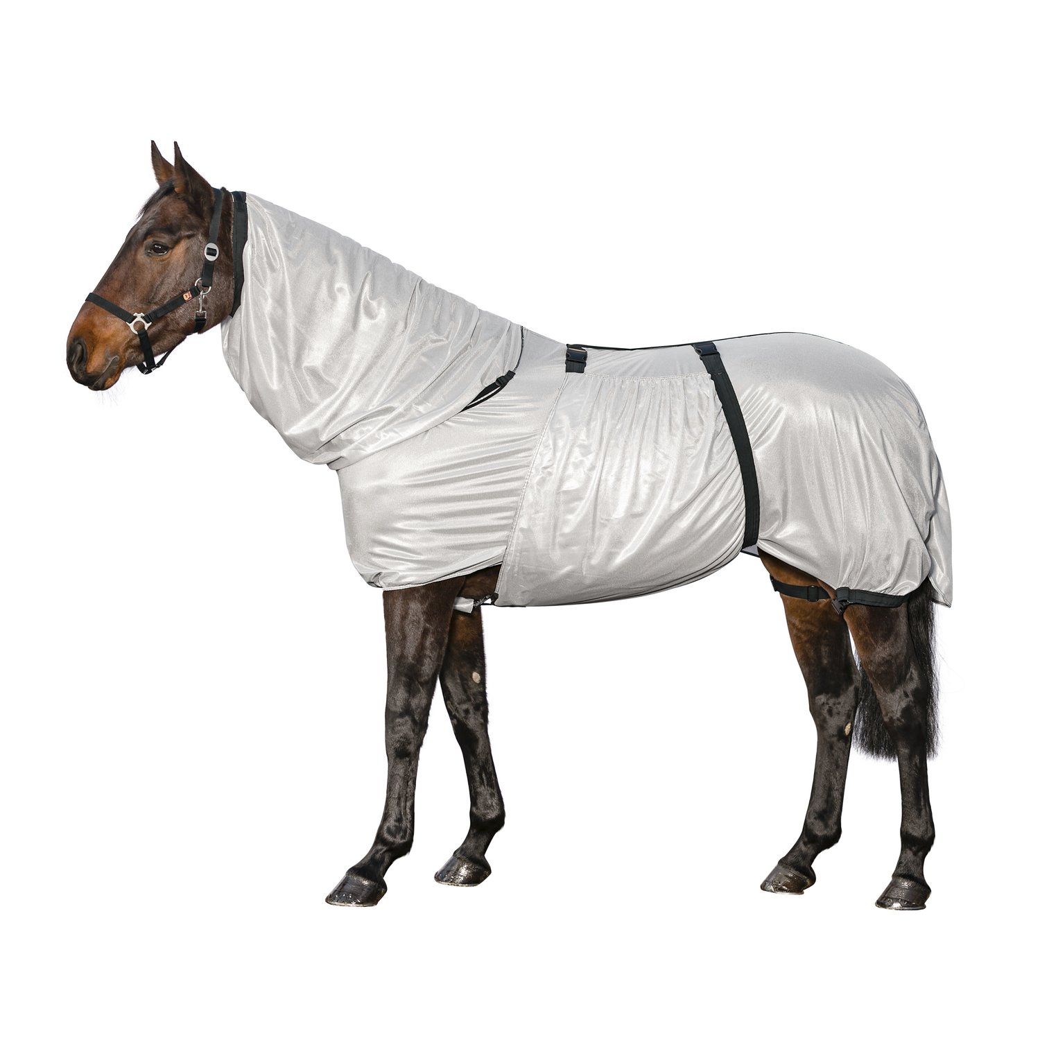 Horse-friends Ekzemerdecke aus Netzgewebe - silber