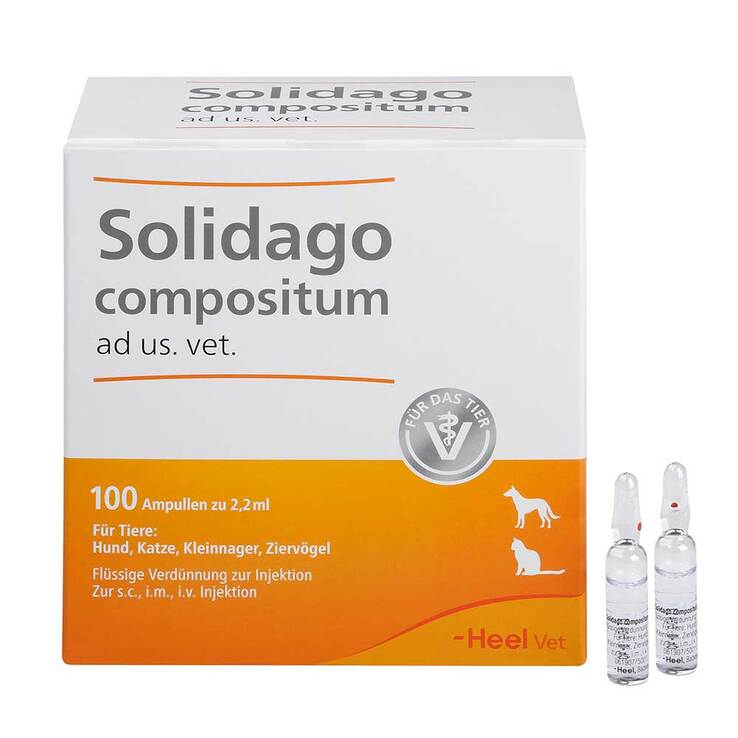 Solidago compositum ad us. vet. Ampullen, 100 St