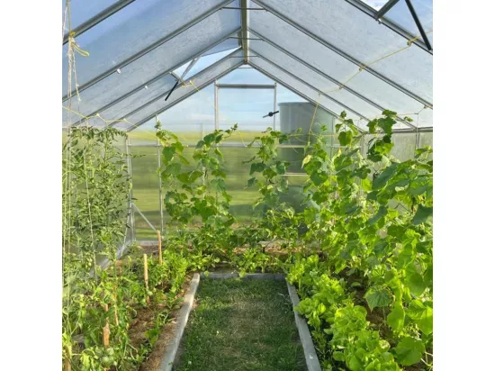 Serre de jardin en polycarbonate 290x570-640x220h FARRAND
