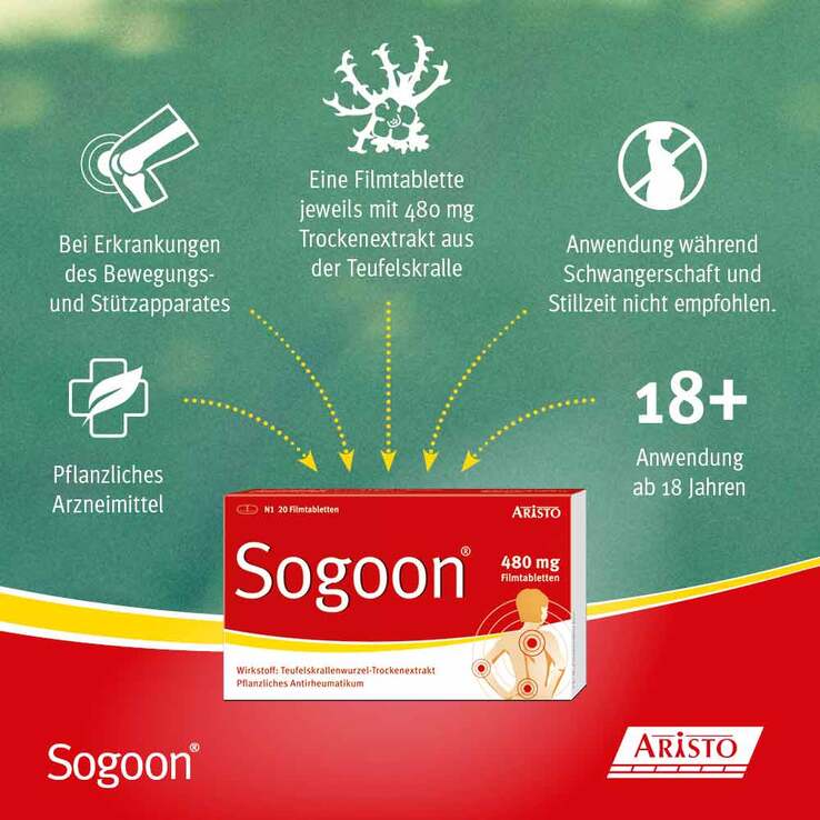 Sogoon Teufelskralle 480 mg Filmtabletten , 100 St