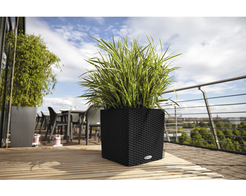Lechuza Cube Cottage 30 zwarte plantenbak inclusief zelfbewateringssysteem