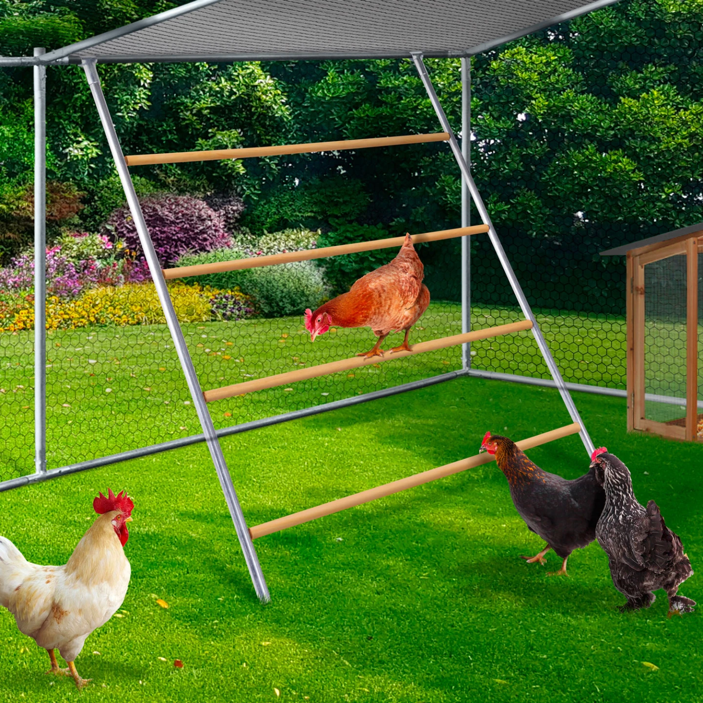 Enclos poulailler 12 m² 4x3 M avec grand perchoir 4 niveaux en bois acier galvanisé