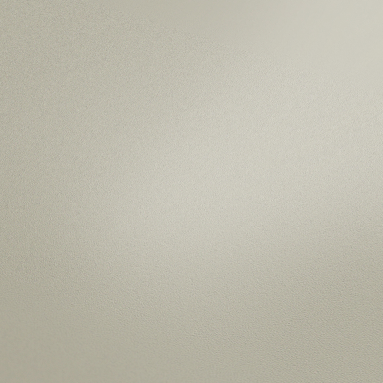 A.S. Creation Vliestapete NEW LIFE - beige-grau - 10 Meter