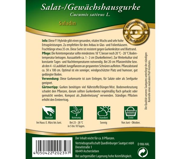 Quedlinburger Salat-/Gewächshausgurke