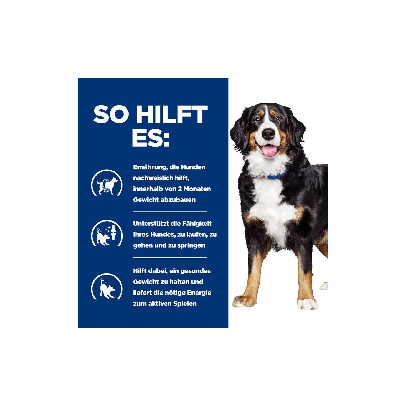 Hill's Prescription Diet Metabolic + Mobility 12 kg
