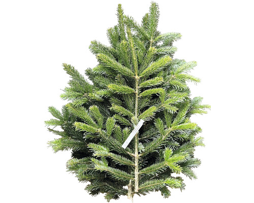 Dennengroen, Nordmannspar, snijgroen, handgebonden bundel, groot, ca. 2,5 kg