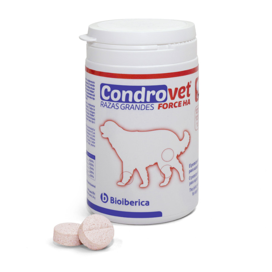 Condrovet Force HA Chondroprotector para cães de raças grandes