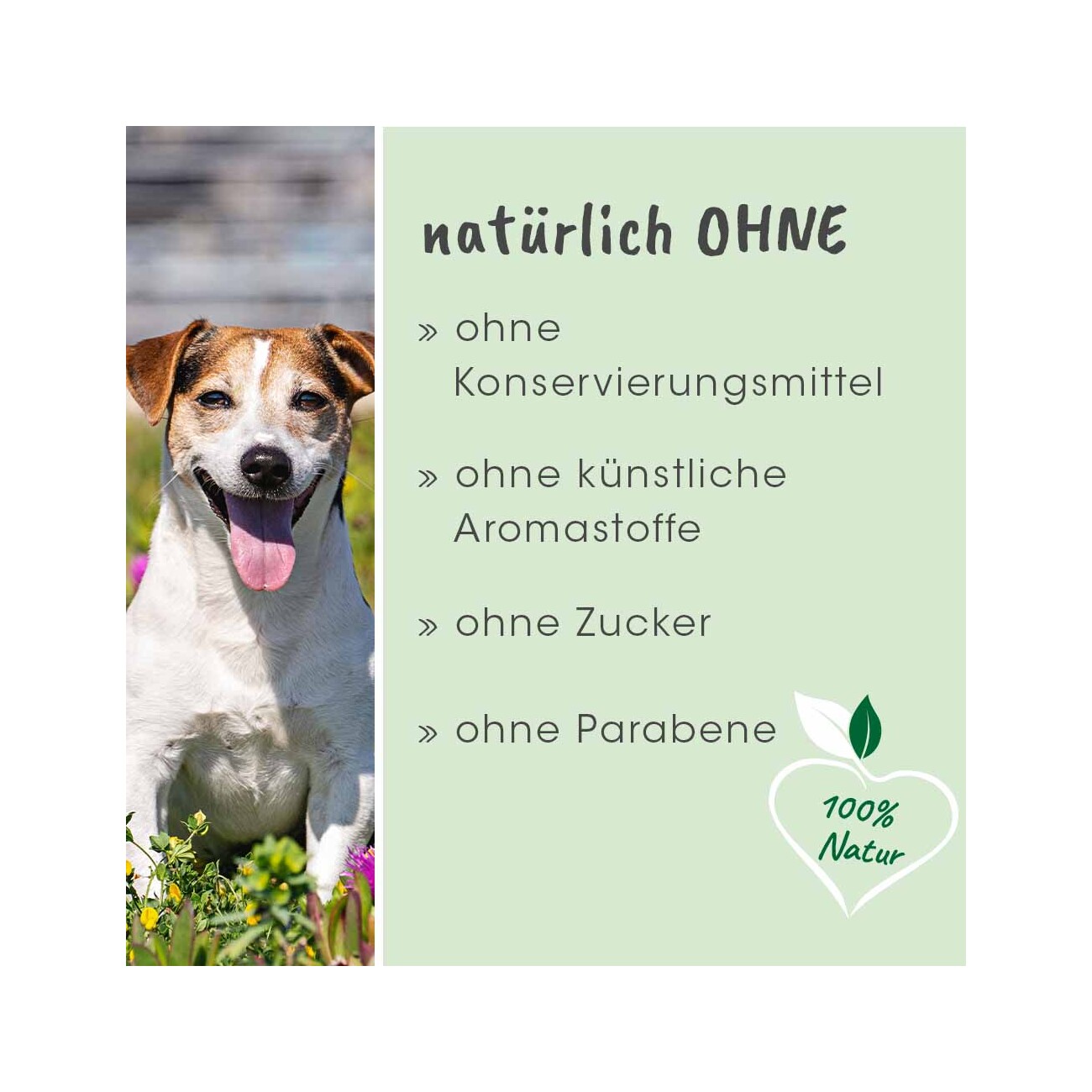 cdVet dentaVet Gel 25ml