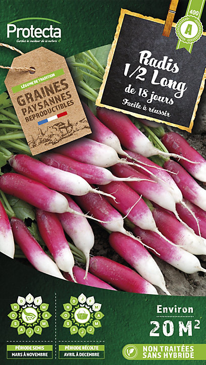 Graine de radis 1/2 Long de 18 jours Protecta