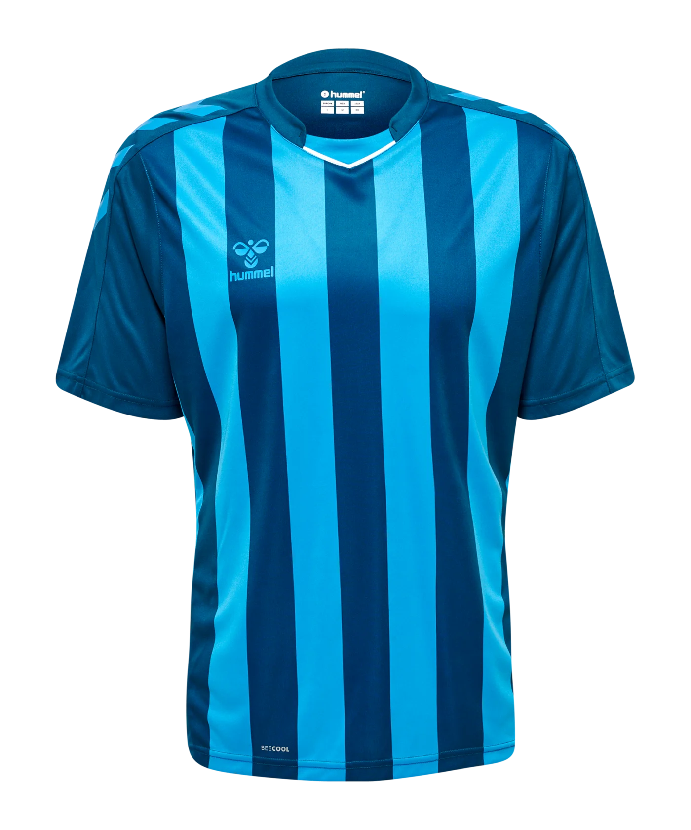 Hummel hmlCORE XK Striped Trikot Blau F7096
