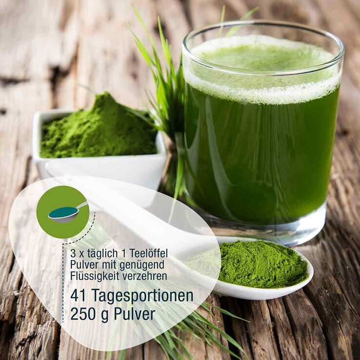 Gerstengras Bio Pulver, 250 g