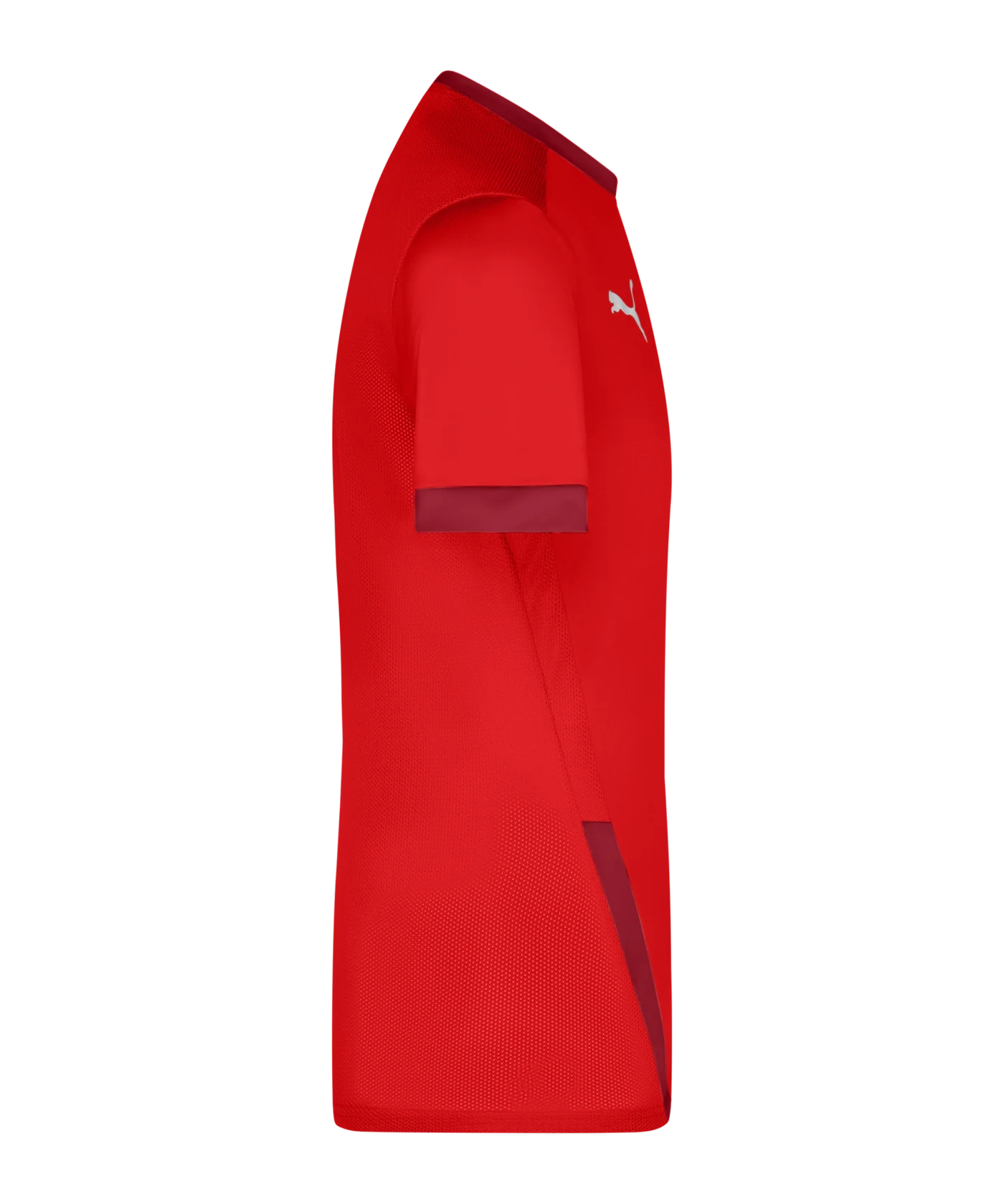 PUMA teamGOAL 23 Trikot kurzarm Rot F01