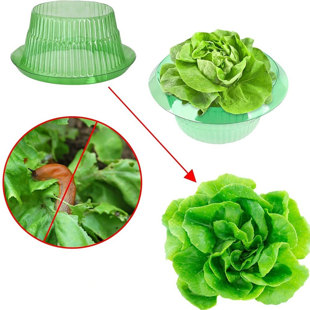 (10er Set) 11.5x24cm Salatring Schneckenkragen Garten Schnecken Barriere Salat Schutz
