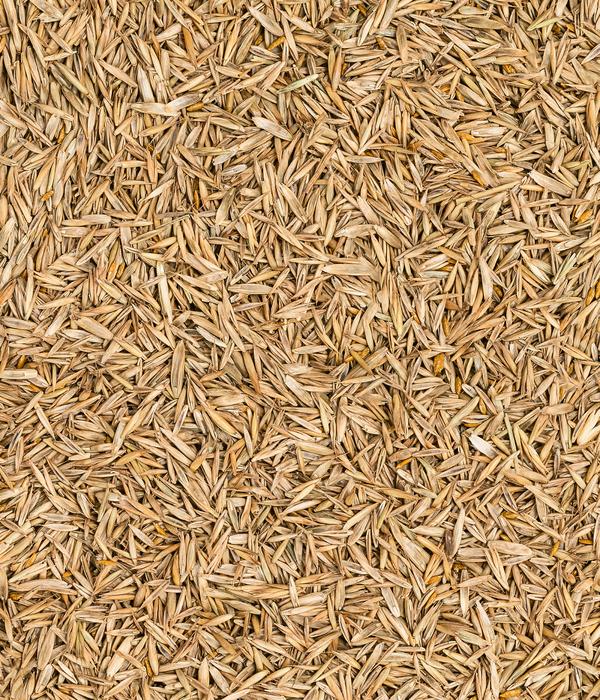Dehner Saatgut Universalrasen, 500 g