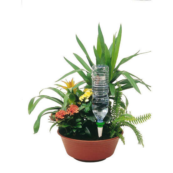 Cône d'Arrosage d'absence : jusqu'à 25 cm 7 cl - S, orange - Pack 3+1