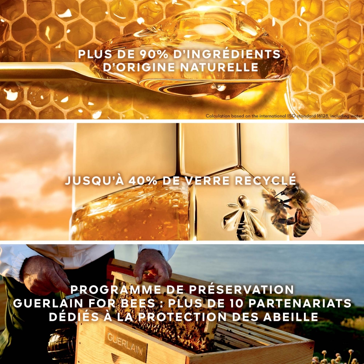 GUERLAIN Abeille Royale Honey Treatment Crème Nuit - La Recharge