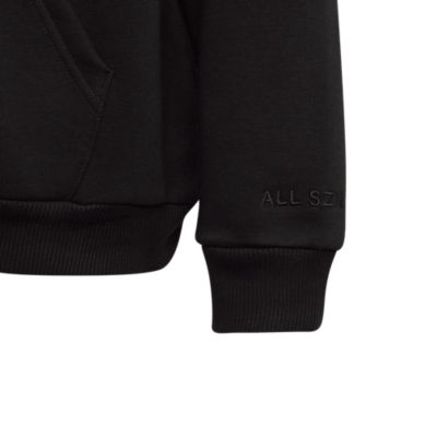 Adidas SportswearEssentials Big Logo Hoodie - schwarz