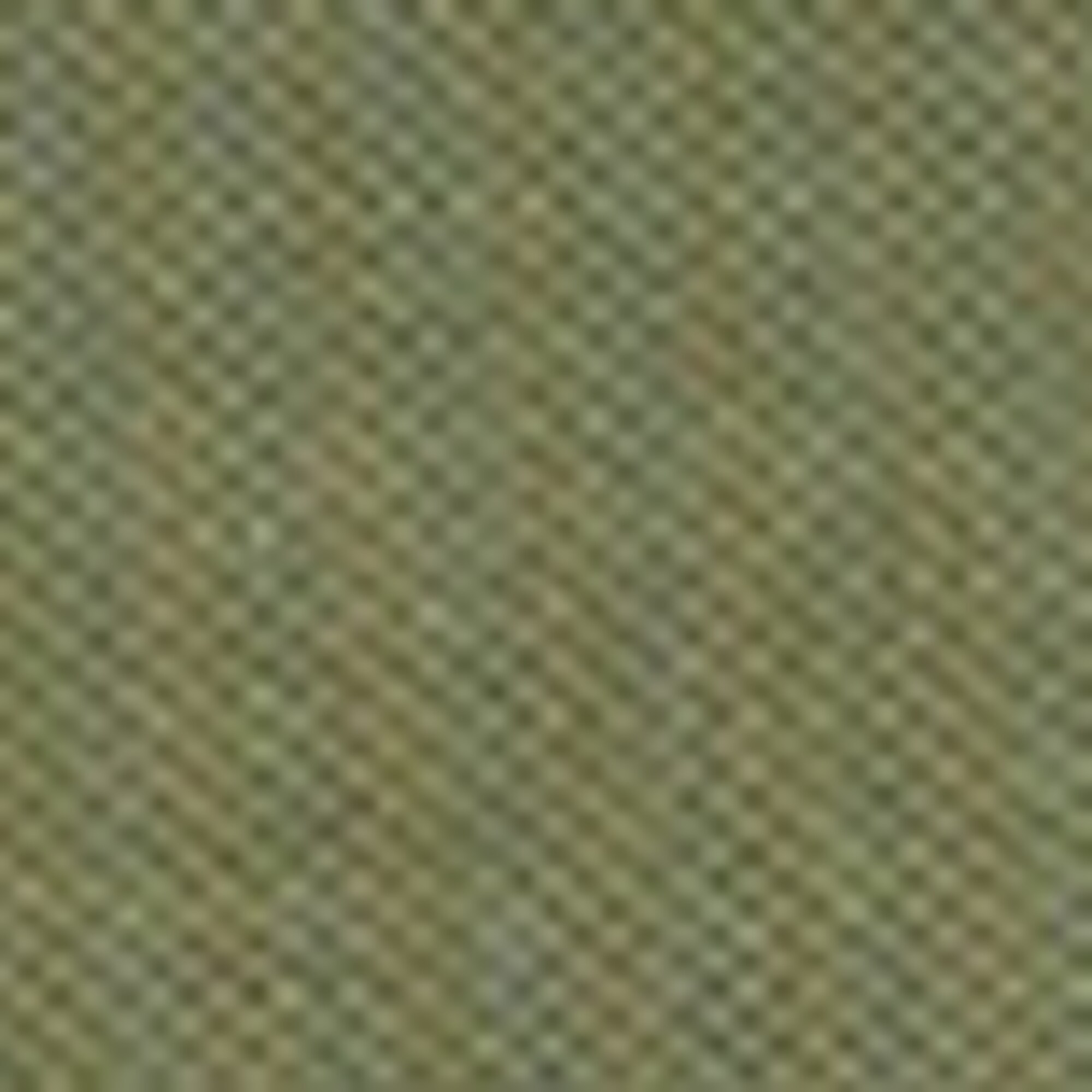 Poloshirt Piqué regular aus reiner Bio-Baumwolle