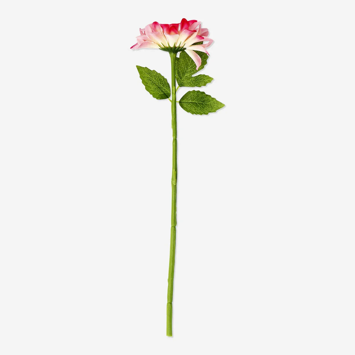 Dekorativ lyserød blomst