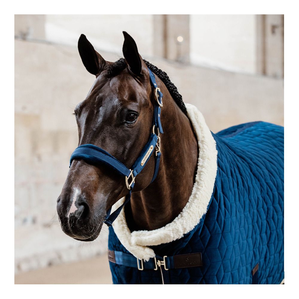 Kentucky VELVET - Licol navy