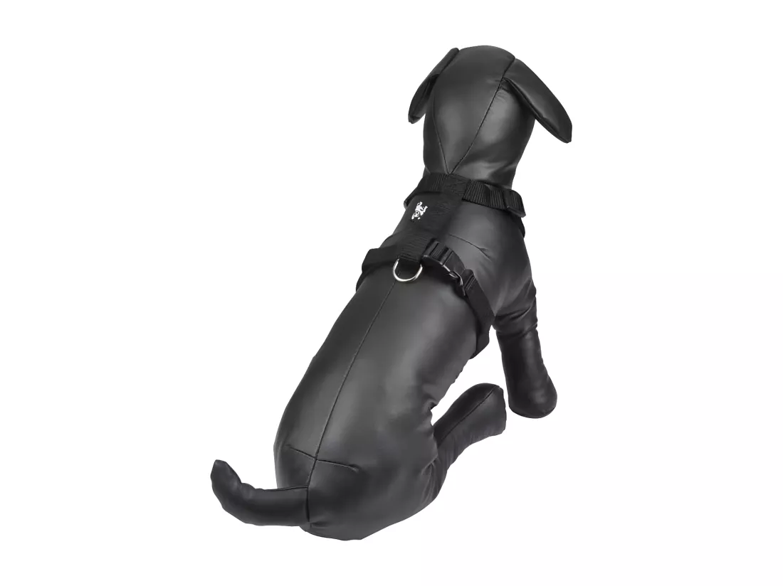 Harnais pour Chien 