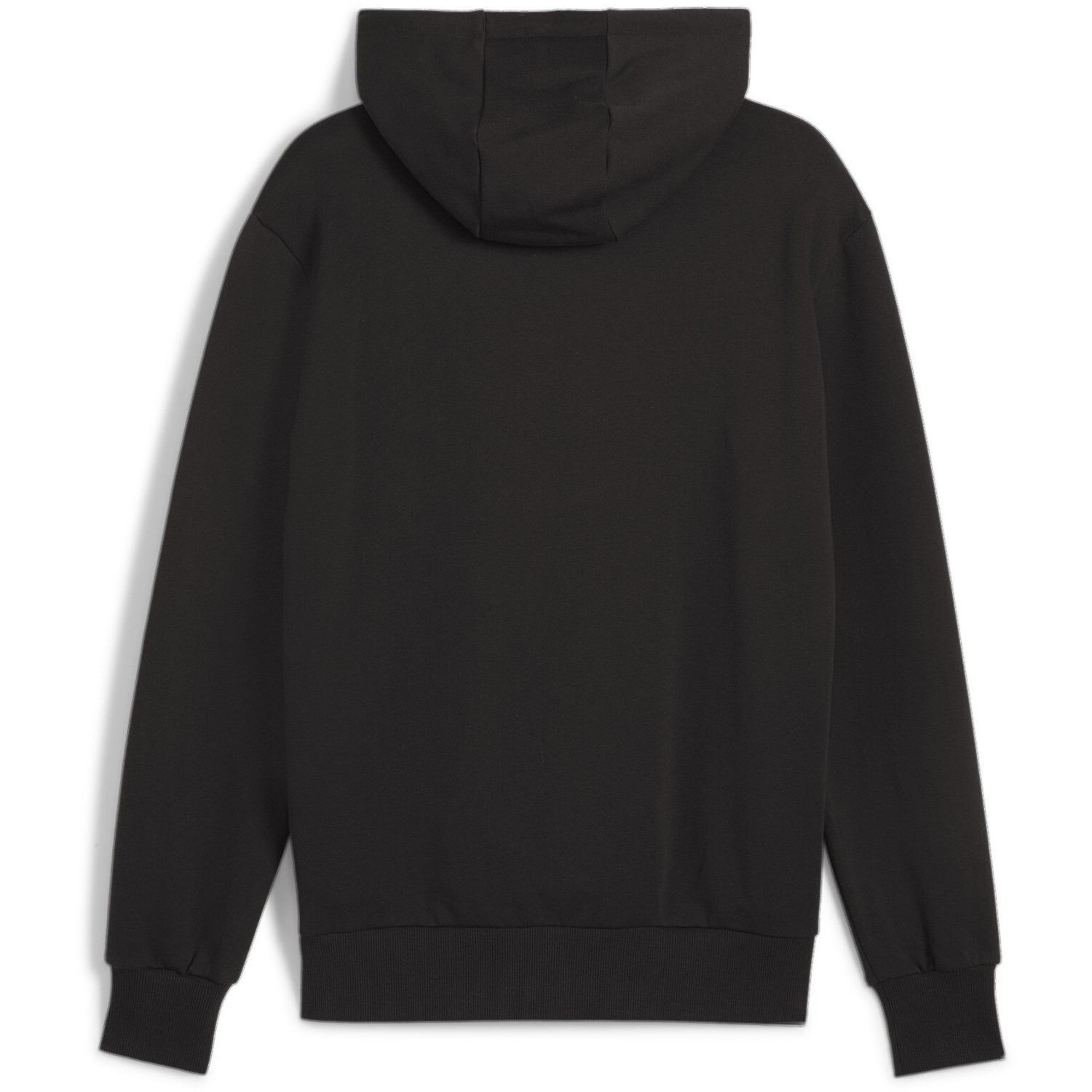 Puma Posterize 2.0 Hoodie
