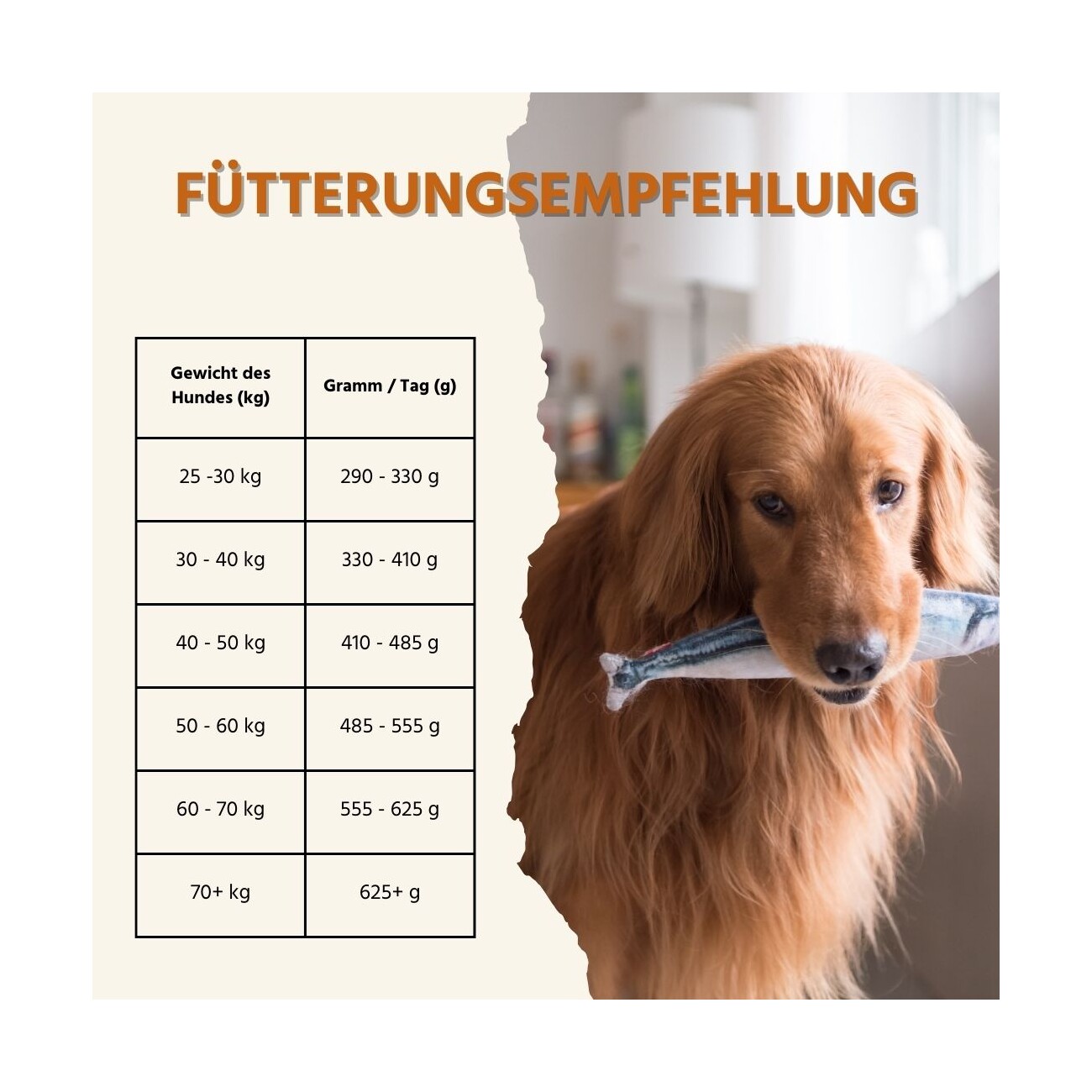 Wildfang ® Maxi Adult Trockenfutter mit Lachs und Forelle 2 kg