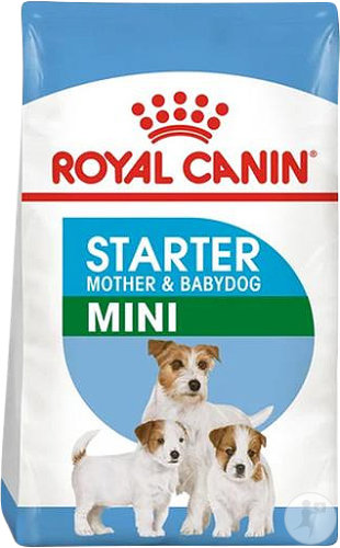 Royal Canin Starter Mini Mère Et Bébé Chien 4kg